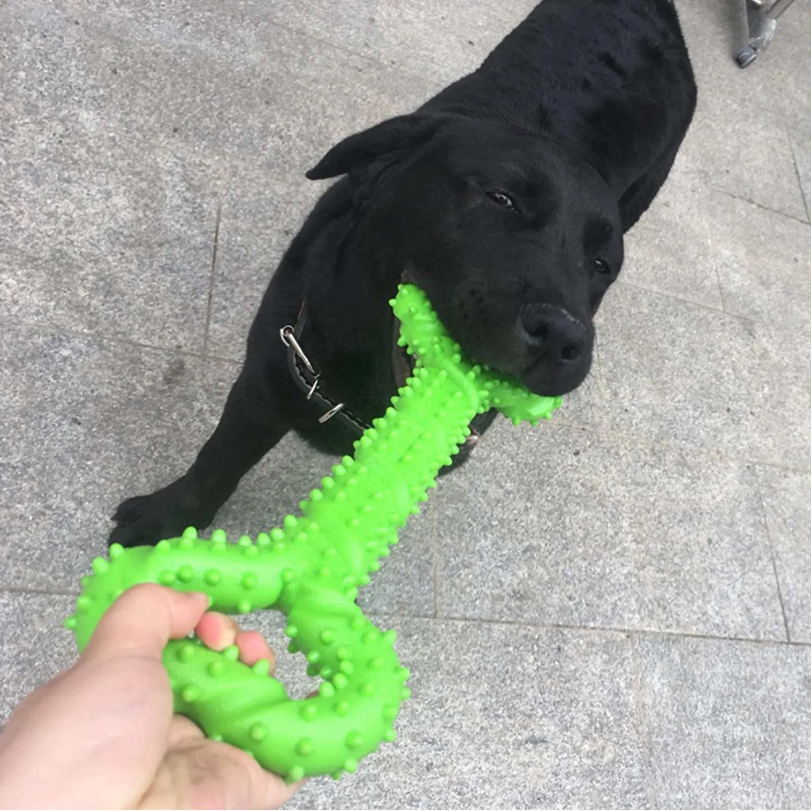 atopo Giochi da masticare resistenti per cani grandi 13 pollice Forma dell'osso Giocattoli per cani con Design convesso duri giochi interattivi per per cani piccoli e grandi - immagine 6