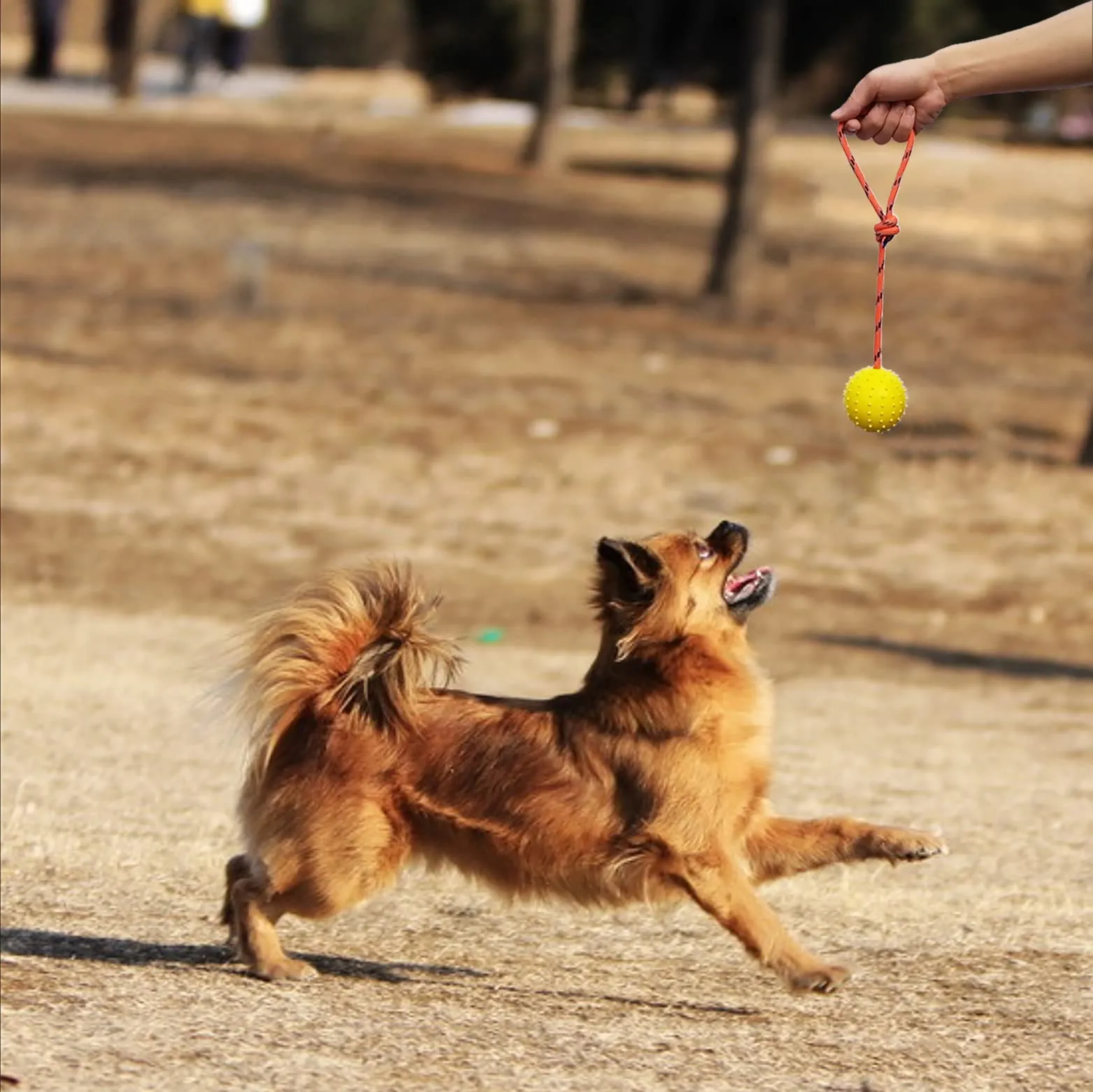 MMSGA Palla per Cane Con Corda - Addestramento Cani e Catti, Cava in Gomma Naturale Per Catturare - immagine 4