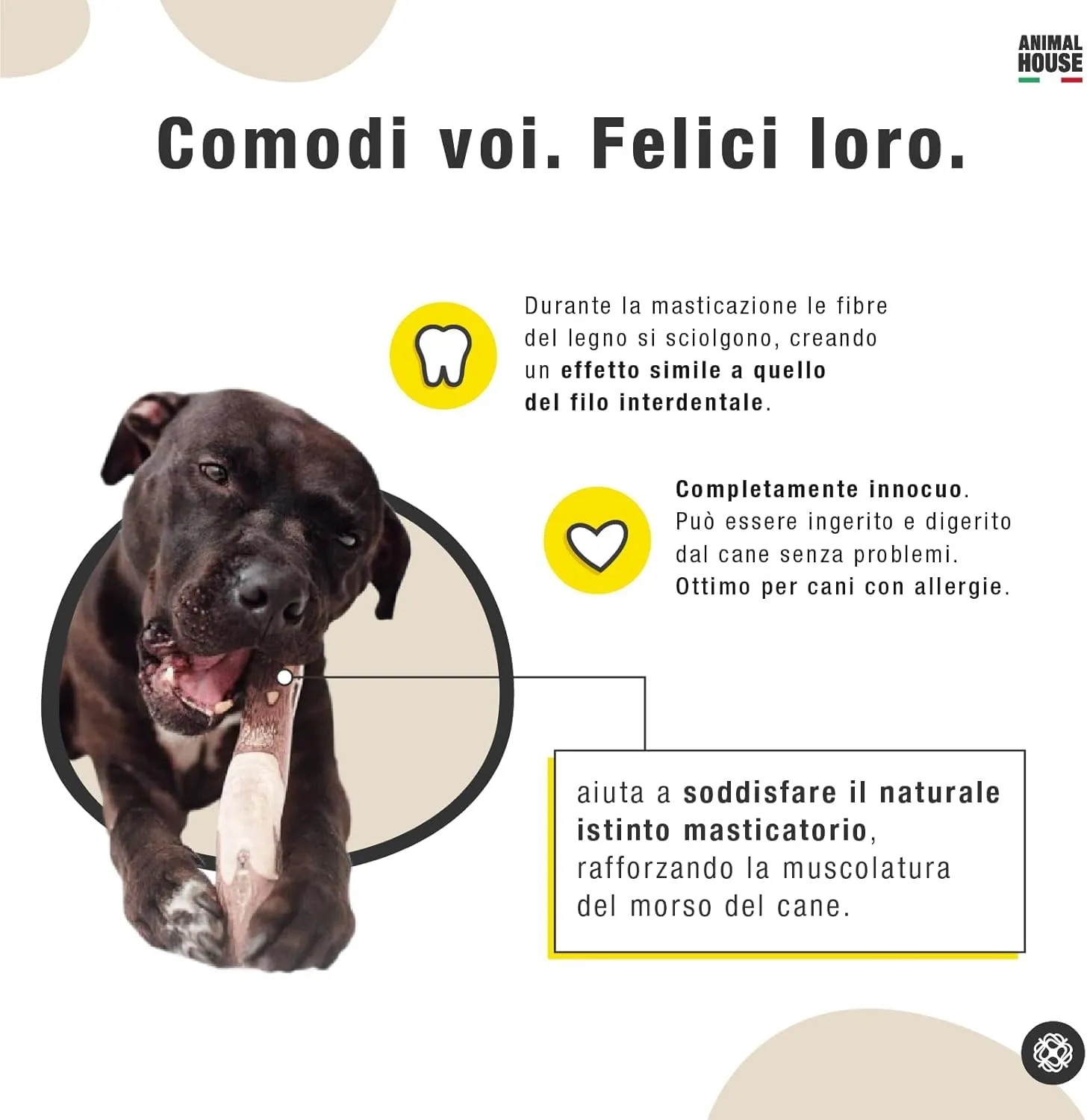 Animal House Legno di Caffè per Cani, L - immagine 4