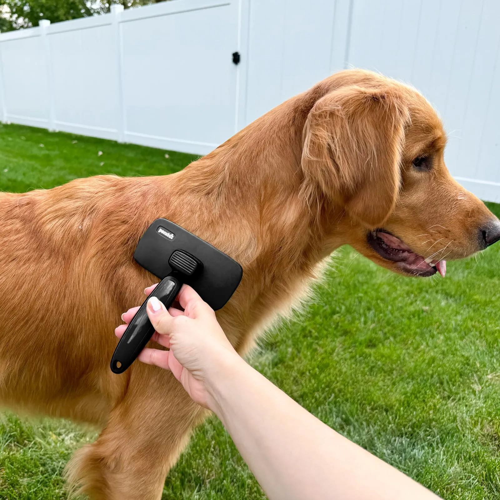 Pecute Spazzola Autopulente per Cani Gatti, Pettine Massaggiante - immagine 9