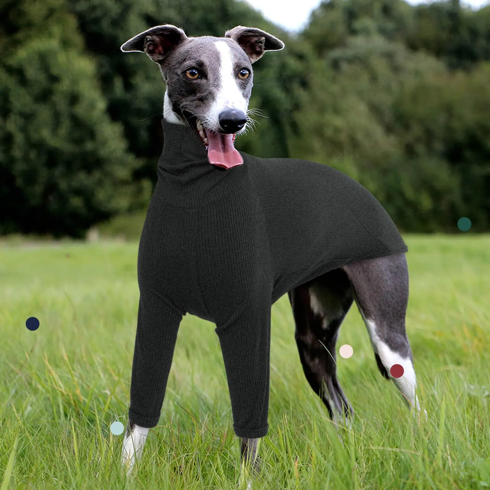 IECOii Maglione levriero, morbido e caldo in pile per cani, maglione whippet, a collo alto, tuta con maniche, abbigliamento e accessori per cani per primavera, autunno, freddo, XXL - immagine 6