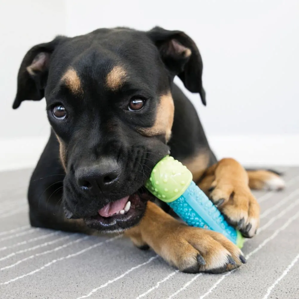 KONG CoreStrength Osso Dentale per Cani, Taglia Piccola/Media - immagine 5