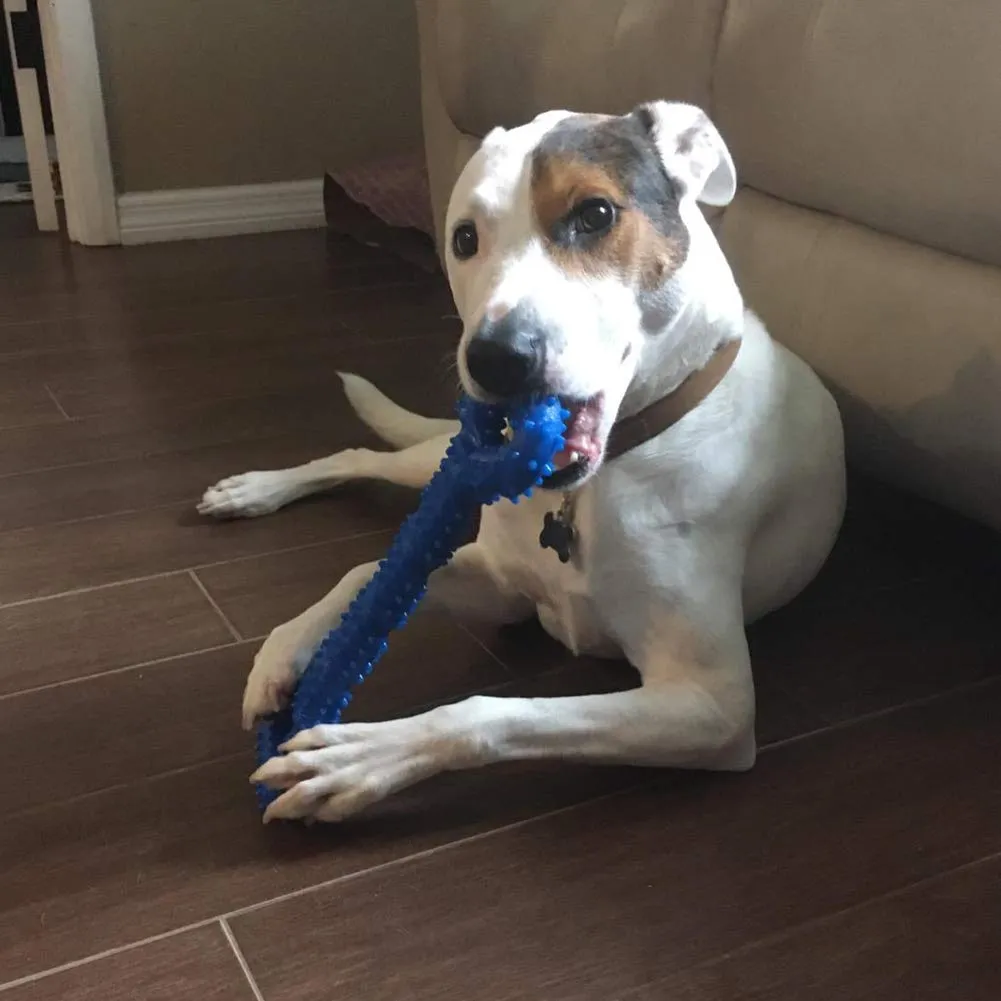 atopo Giochi da masticare resistenti per cani grandi 13 pollice Forma dell'osso Giocattoli per cani con Design convesso duri giochi interattivi per per cani piccoli e grandi - immagine 5