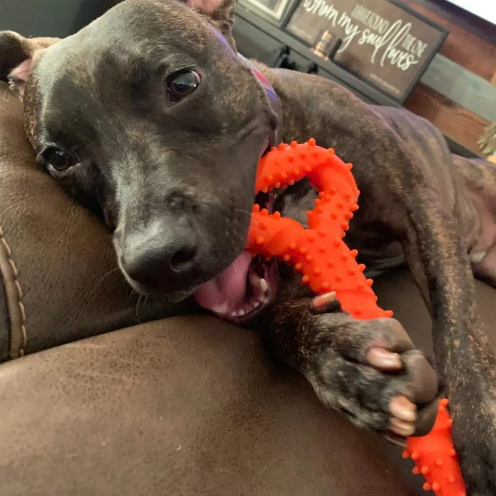 atopo Giocattoli da masticare per cani, resistenti, 33 cm, a forma di osso, giocattolo da masticare con design convesso, forte giocattolo per masticatori aggressivi, cani di taglia media e grande per - immagine 5