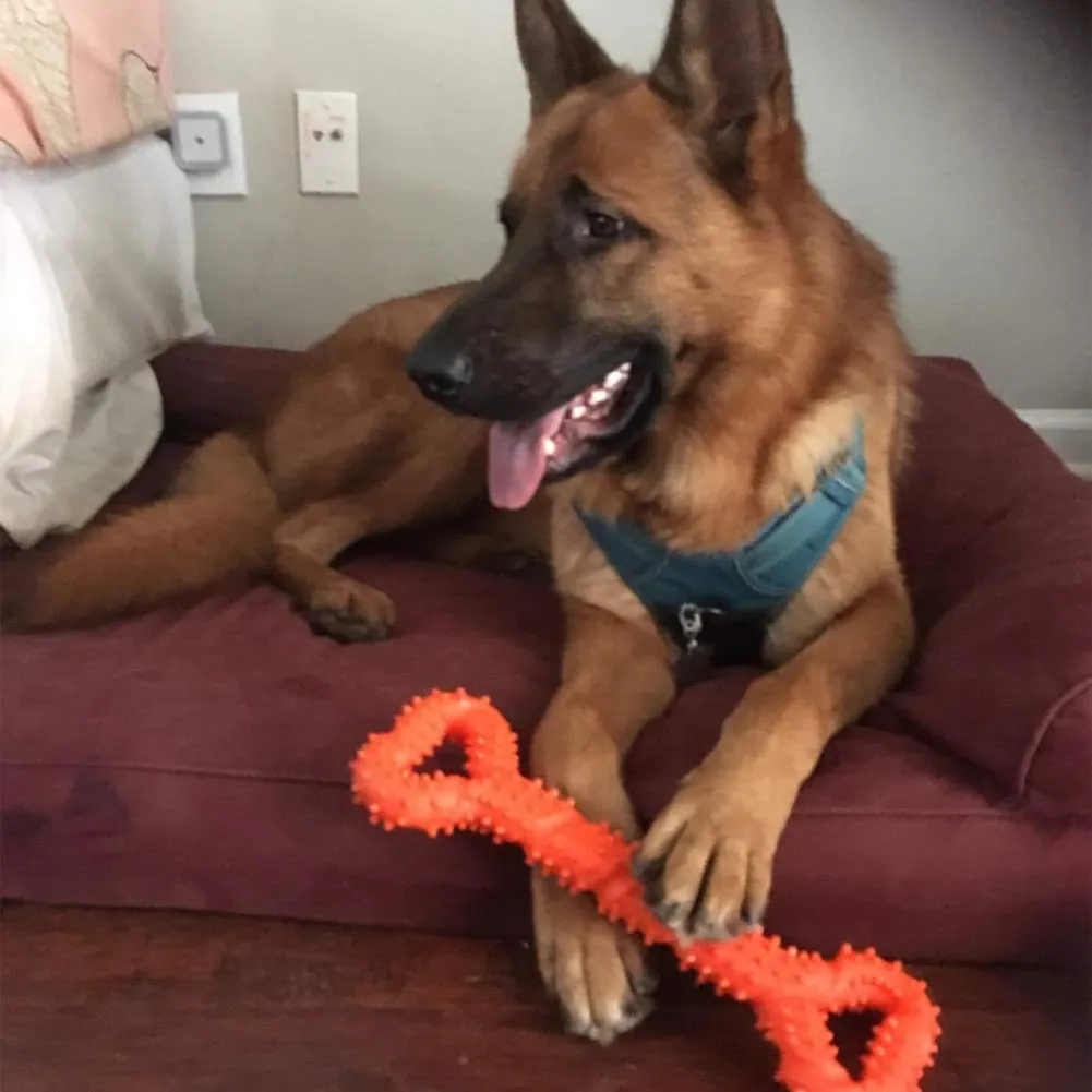 atopo Giocattoli da masticare per cani, resistenti, 33 cm, a forma di osso, giocattolo da masticare con design convesso, forte giocattolo per masticatori aggressivi, cani di taglia media e grande per - immagine 6