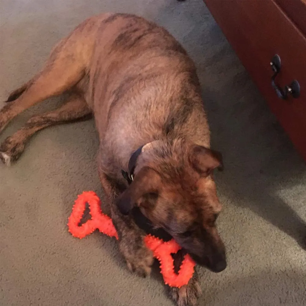atopo Giocattoli da masticare per cani, resistenti, 33 cm, a forma di osso, giocattolo da masticare con design convesso, forte giocattolo per masticatori aggressivi, cani di taglia media e grande per - immagine 9