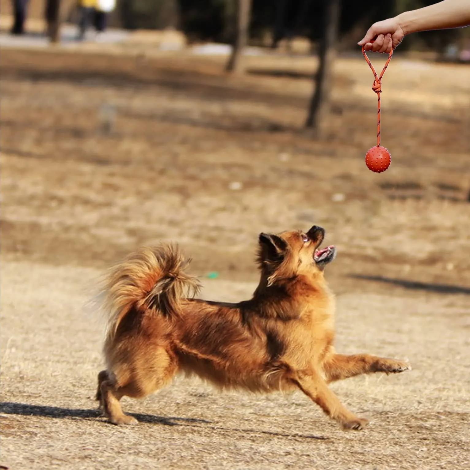 MMSGA Palla per Cane con Corda,Palla da Addestramento Cani e Catti,Palla Cava in Gomma Naturale Per Catturare - immagine 4