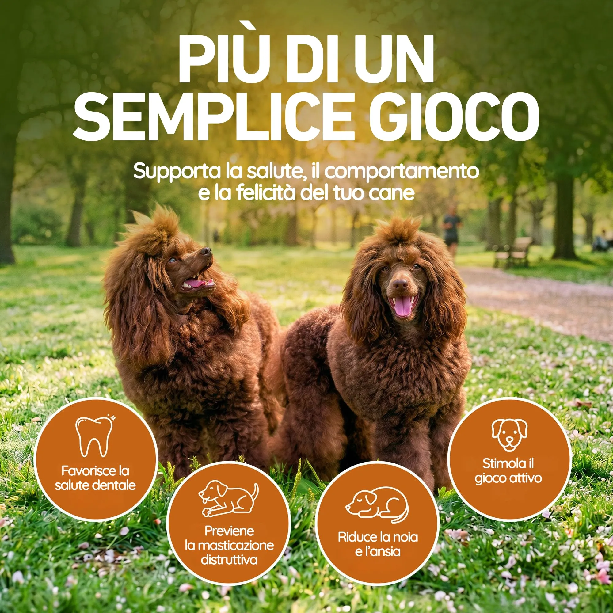 Wildfang® Gioco per Cani con Squeaker per Masticatori Forti, Kristoff – Osso in Gomma Naturale, Igiene Dentale, Indistruttibile - immagine 5