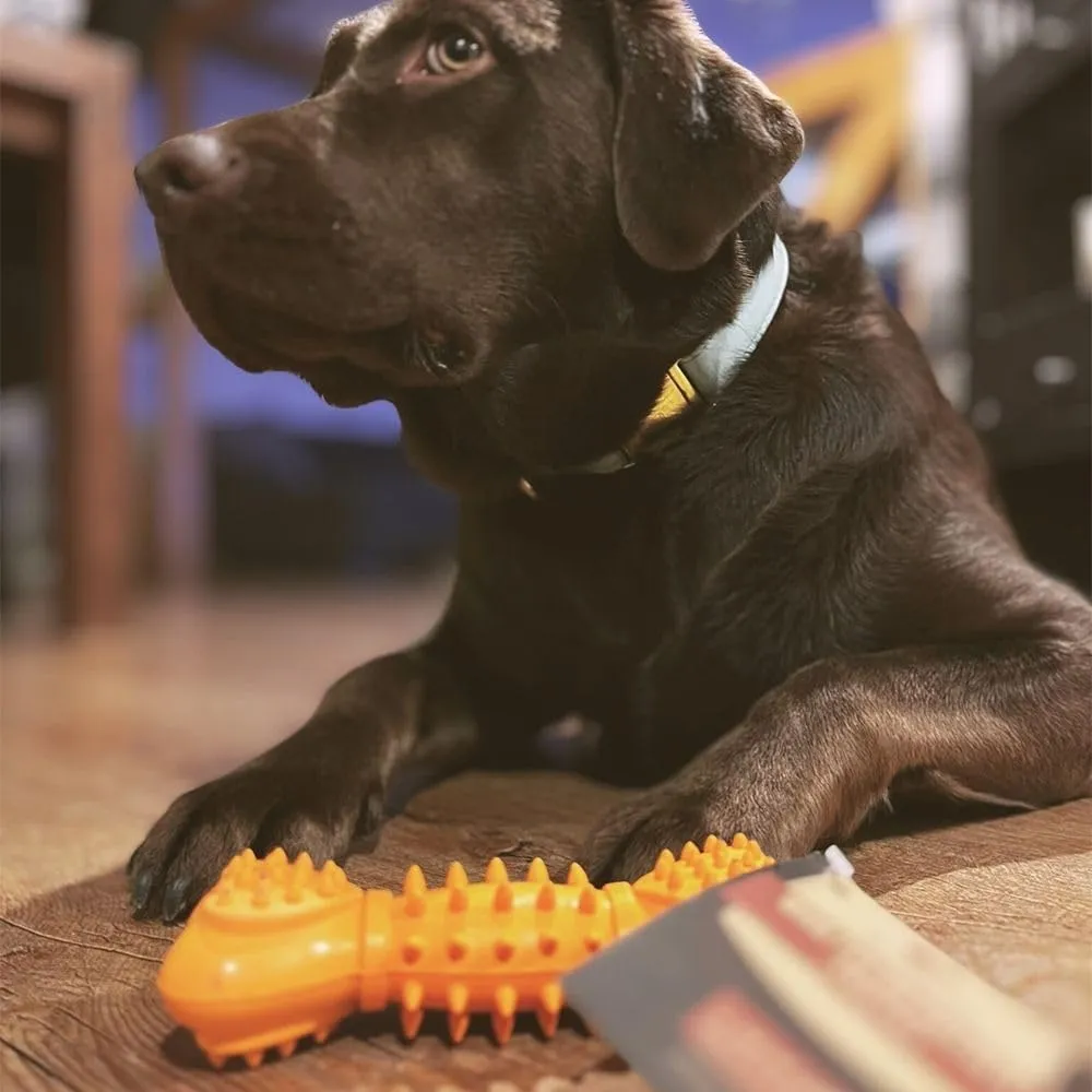 Wildfang® Gioco per Cani con Squeaker per Masticatori Forti, Kristoff – Osso in Gomma Naturale, Igiene Dentale, Indistruttibile - immagine 7