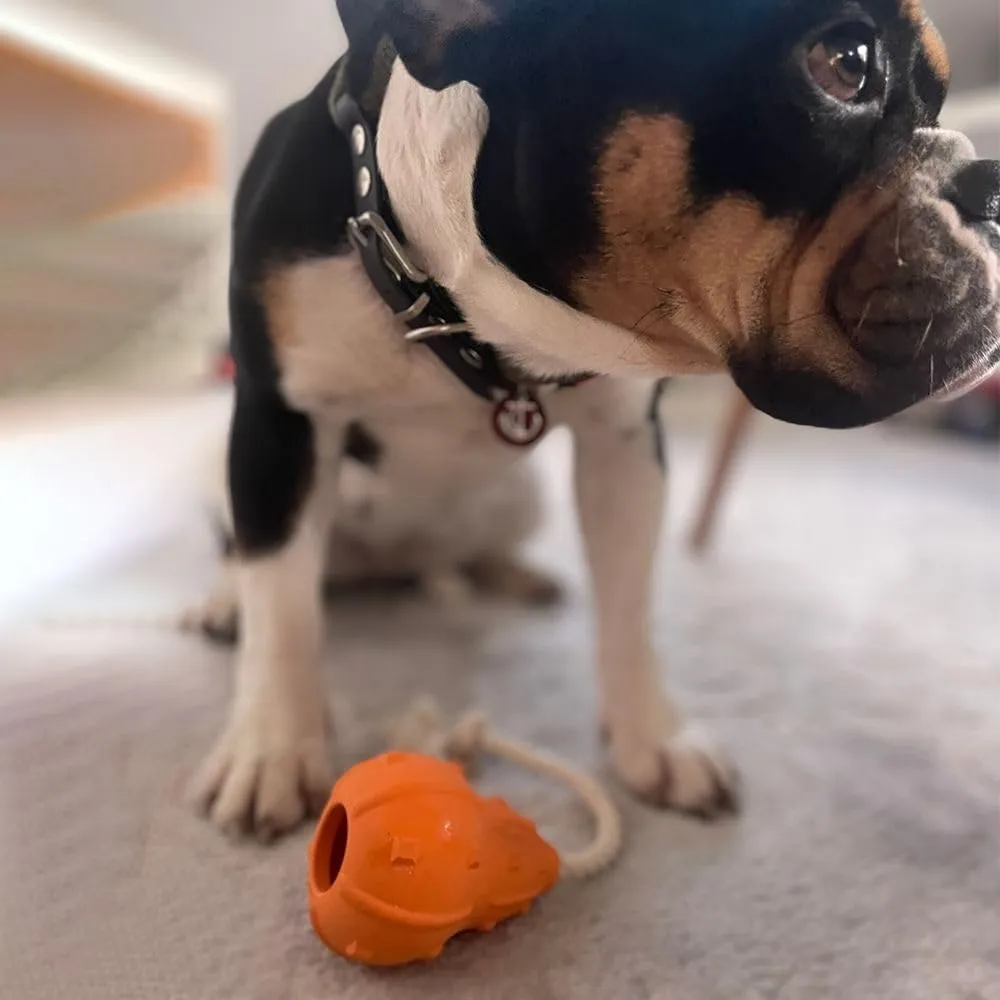 Wildfang® Gioco per Cani per Masticatori Forti, Winnie – Gioco Zucca da Lancio in Gomma Naturale, Igiene Dentale, Indistruttibile - immagine 6