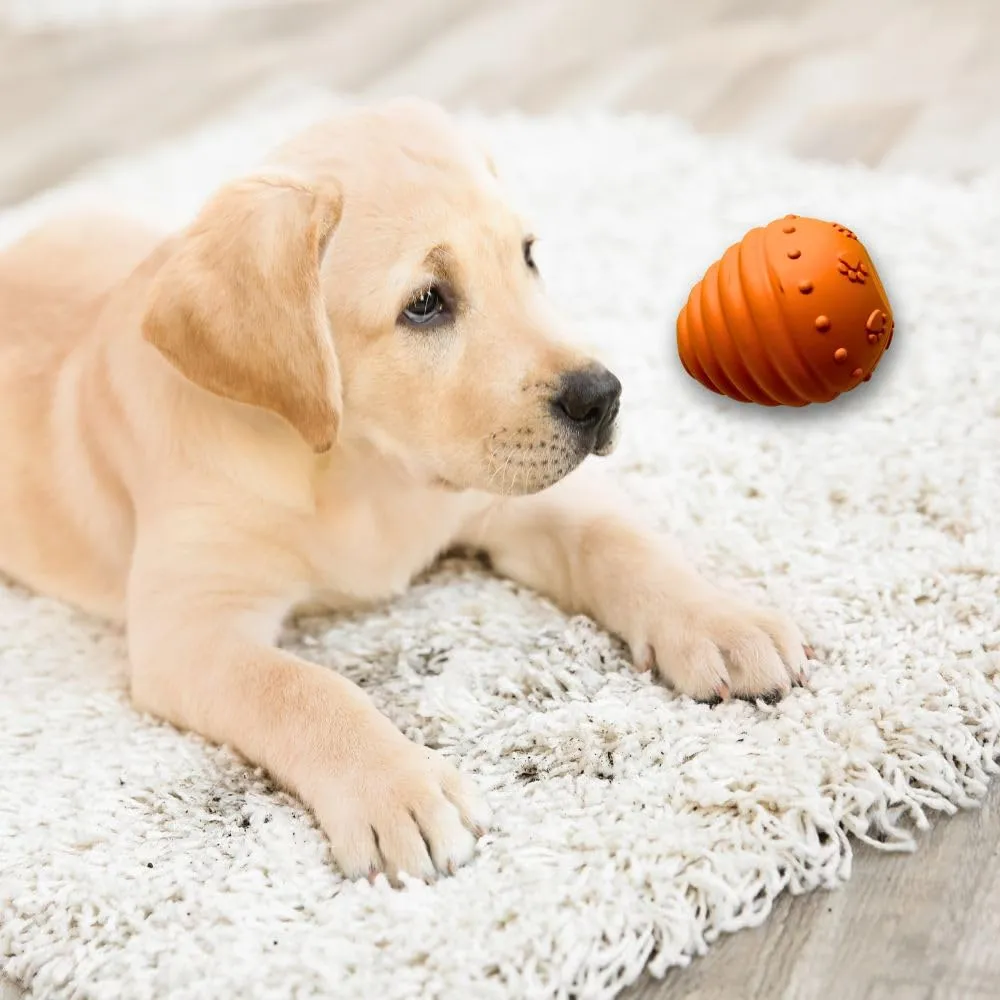 Wildfang® Gioco per Cani per Masticatori Forti, Lilo – Gioco Zucca da Lancio in Gomma Naturale, Igiene Dentale, Indistruttibile - immagine 6