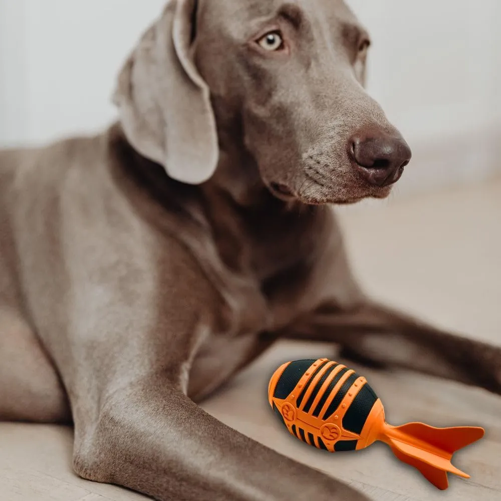 Wildfang® Gioco per Cani con Squeaker per Masticatori Forti, Rocket – Gioco Sonoro in Gomma, Igiene Dentale, Interno ed Esterno, Indistruttibile - immagine 6