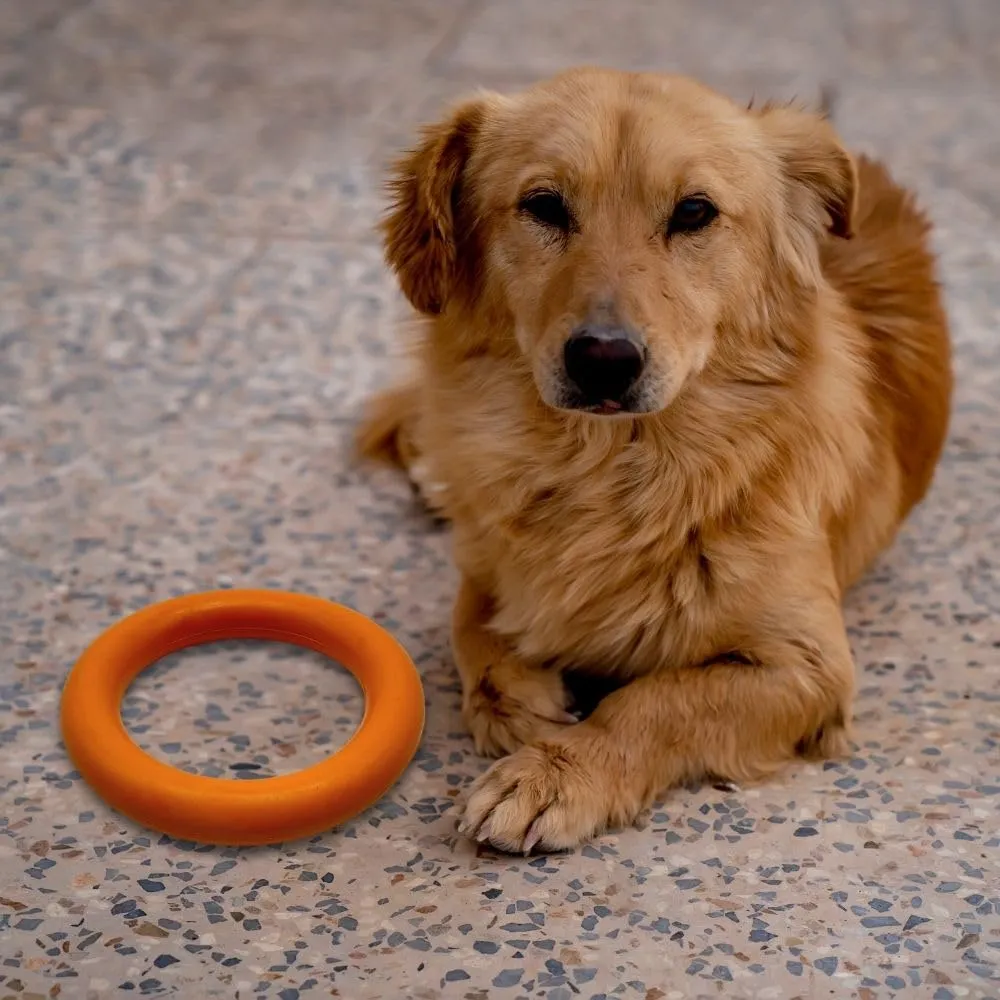 Wildfang® Gioco per Cani per Masticatori Forti, Robin – Anello da Dentizione in Gomma Naturale, Igiene Dentale, Indistruttibile - immagine 7