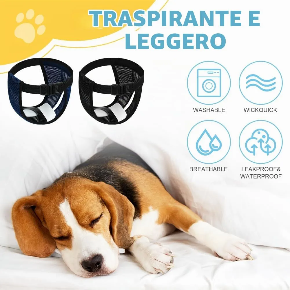 Aomig Lavabili Pannolini per Cani Femmina, Pannolini Cane Riutilizzabili, Pannolino Mutande Mestruali Cane Traspirante Pantaloni Mestruali Igienici per Cani di Piccola con 6 Cuscinetti di Ricambio-XL - immagine 4