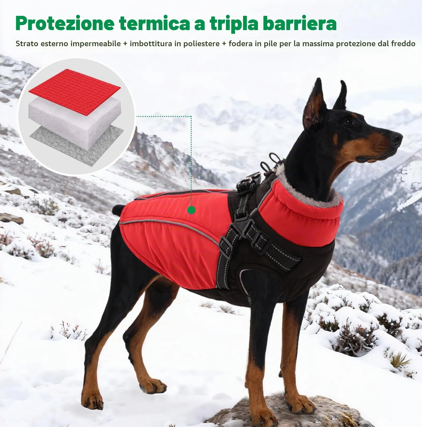 KONVINIT Cappottino Cane Taglia Piccola con Pettorina Integrata - Giubbotto - immagine 7