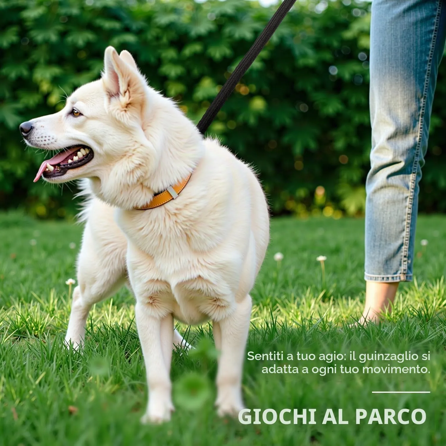 PETCOOZ Guinzaglio Doppio per Cani, Guinzaglio per Cani 3M Regolabile con Fino Riflettente, Multifunzione e Resistente di Cani Piccoli, Medi e Grandi, Nero - immagine 7