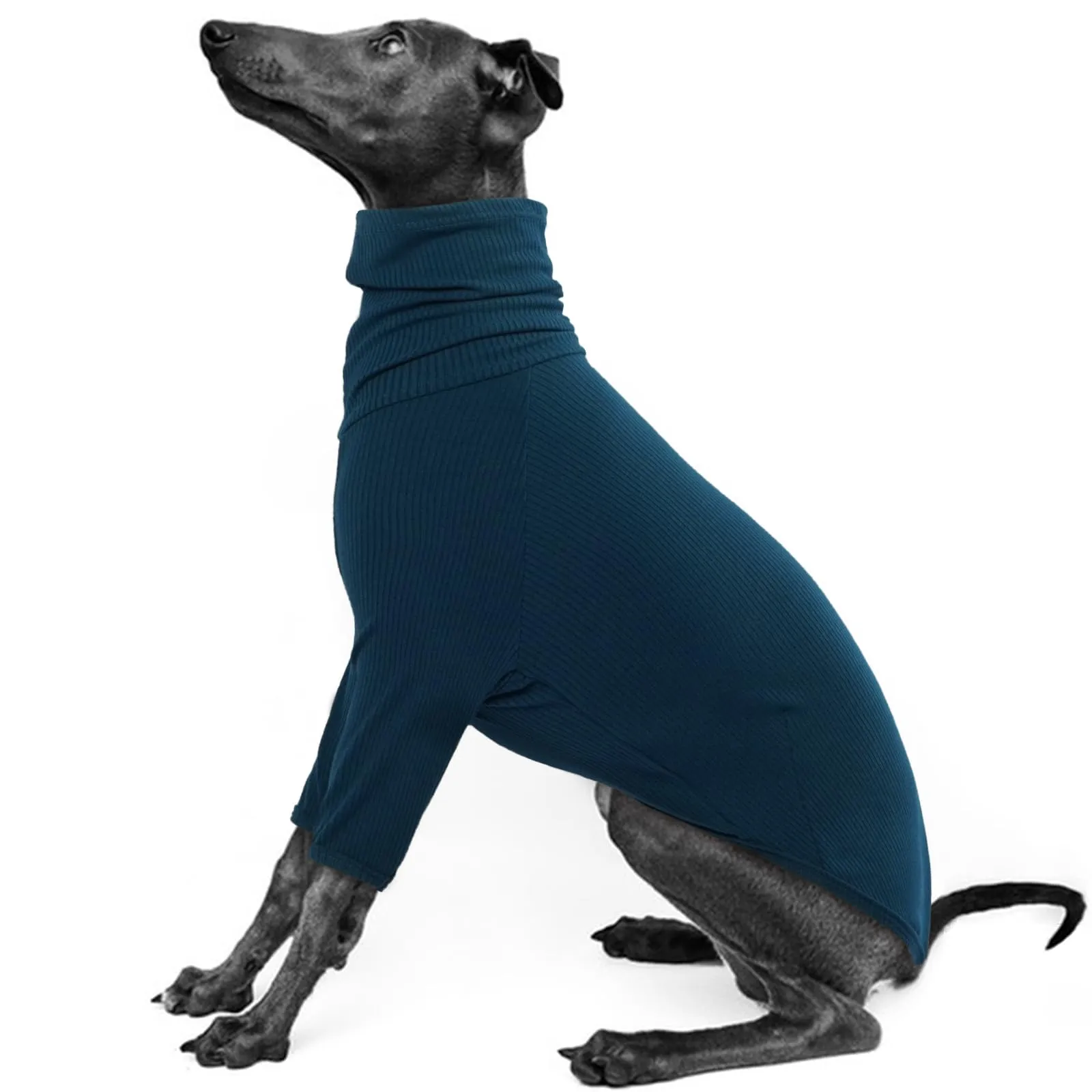 IECOii Maglione levriero, accogliente tuta levriero italiano, pullover per cani di piccola taglia, dolcevita whippet tutina per abiti primaverili e autunnali, t-shirt extra morbida con maniche, XS - immagine 1