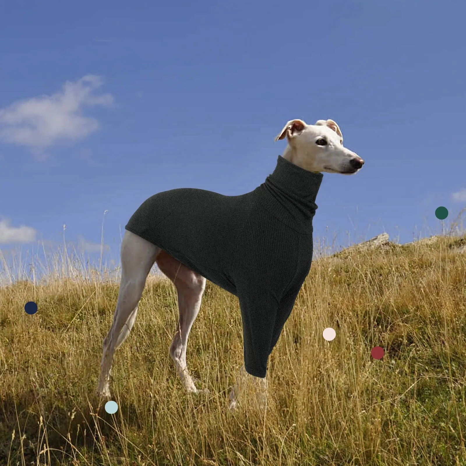 IECOii Maglione Whippet, maglione a collo alto per cani di piccola taglia, felpa levriero pullover tuta Whippet, pigiama levriero italiano leggero e accogliente - immagine 7