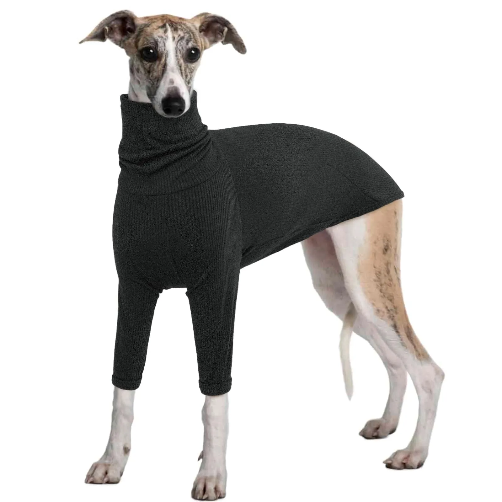 IECOii Maglione invernale per levrieri, maglione a collo alto per cani di taglia grande, tuta da levriero italiano, per interni ed esterni, camicie per cani adatte per levriero afgano Lurcher, Saluki - immagine 1