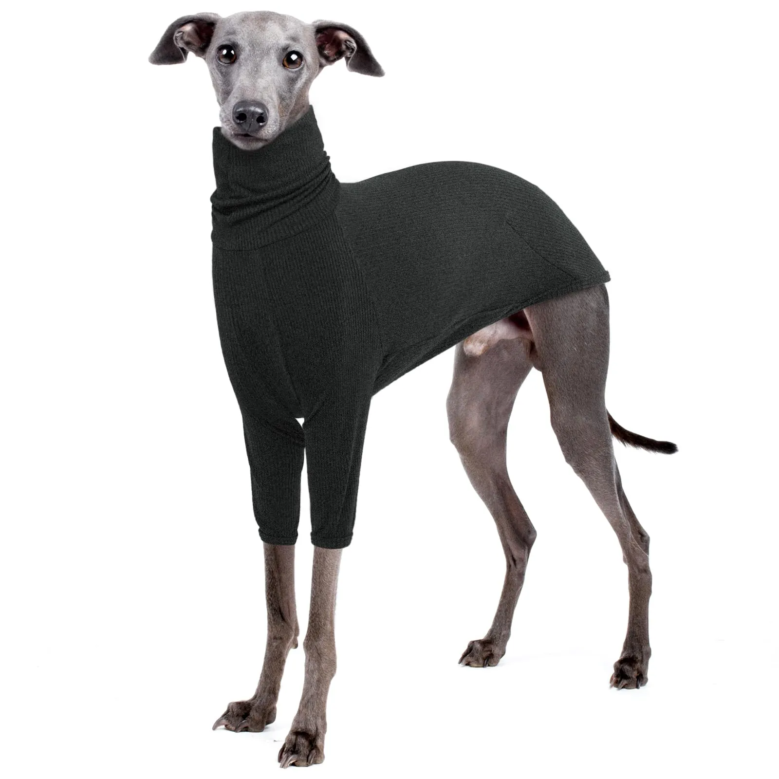 IECOii Cappotto per levriero, caldo maglione per cani di taglia media, completo whippet con maniche, felpa a collo alto per cani pullover vestiti levrieri italiani - immagine 1