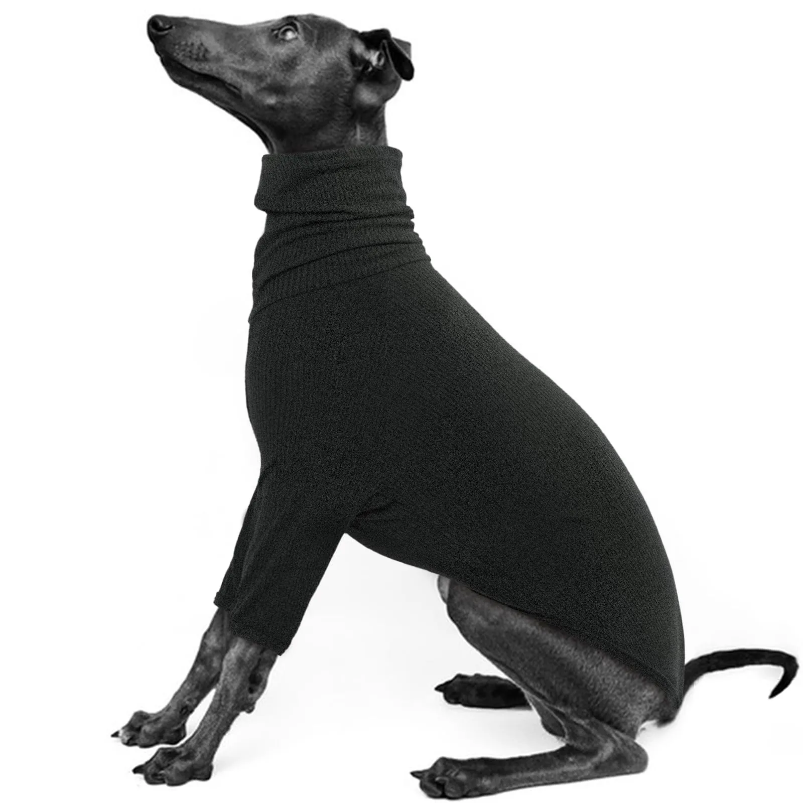 IECOii Giura per cani di piccola taglia, pigiama per levrieri primaverili e autunnali, extra morbido in pile whippet, tuta a collo alto, tuta leggera con frustino, per interni ed esterni, XS - immagine 1