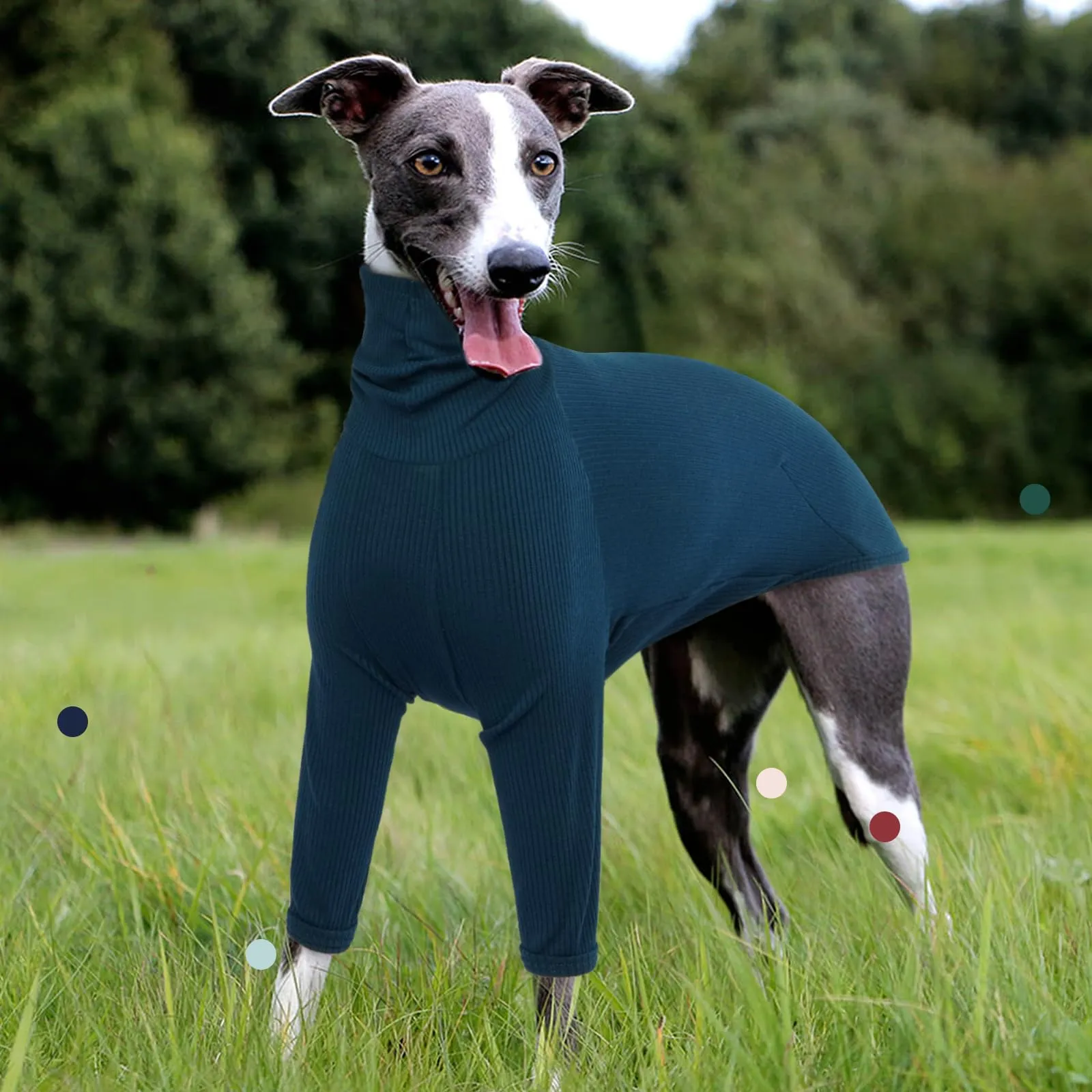 IECOii Maglione Whippet, maglione a collo alto levrieri per cani di piccola taglia, felpa per levrieri italiani, tuta per cani per Lurcher, pigiama leggero e accogliente per levrieri elasticizzato per - immagine 6