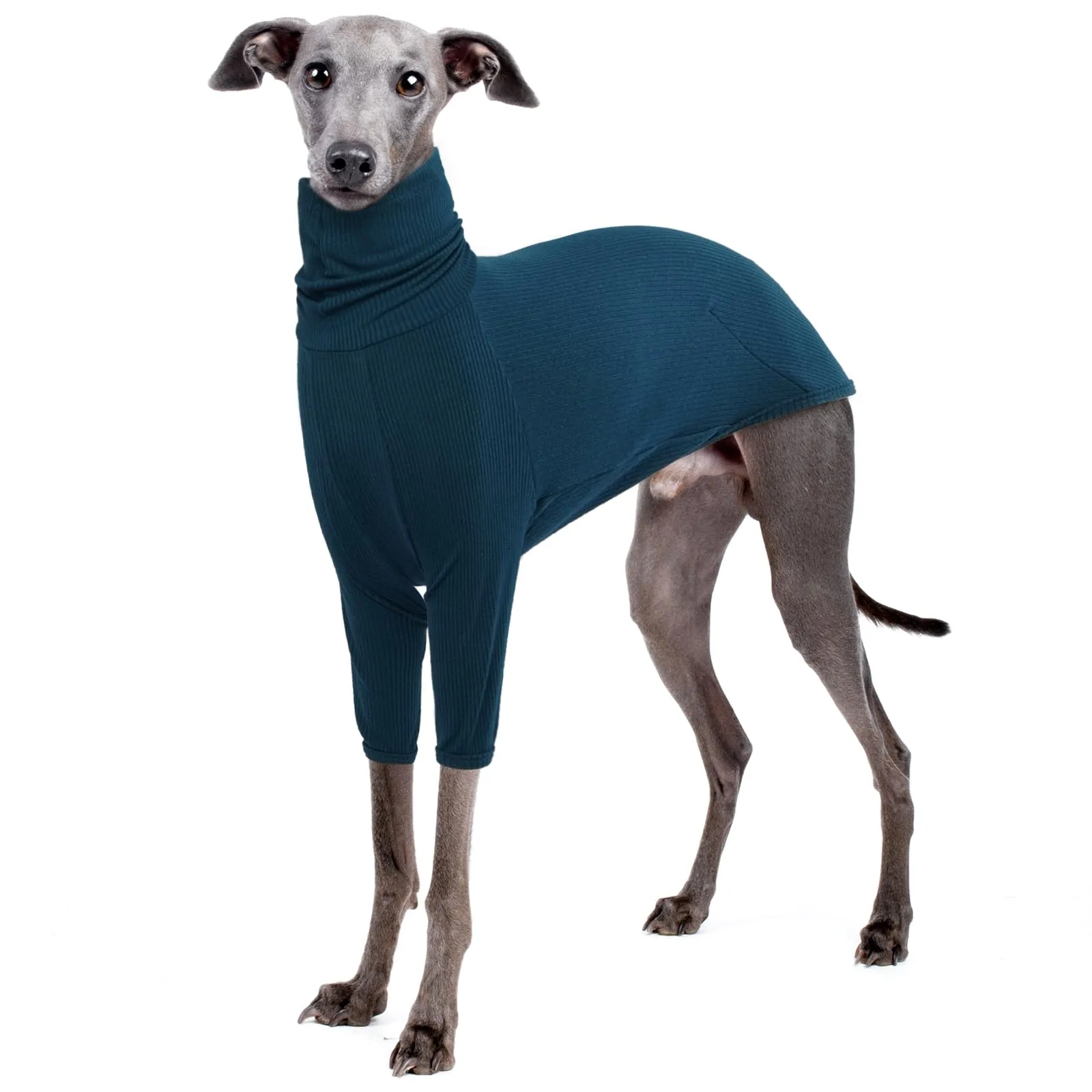 IECOii Maglione a collo alto per levriero, pigiama termico caldo maglieria cappotti levriero per il freddo, felpe whippet maglioni per cani di taglia grande, abbigliamento classico per levriero - immagine 1