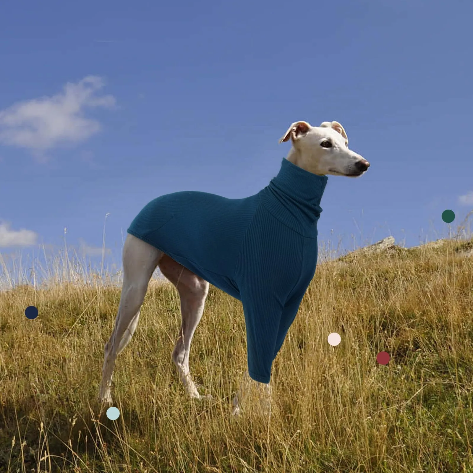 IECOii Maglioni per Cani Maschio Femmina, Pullover Classico a Tuta per Levriero, Gilet in Pile per Whippet con Collo Alto per Levriero per Tempo Freddo, Abbigliamento Accogliente per Whippet per - immagine 7