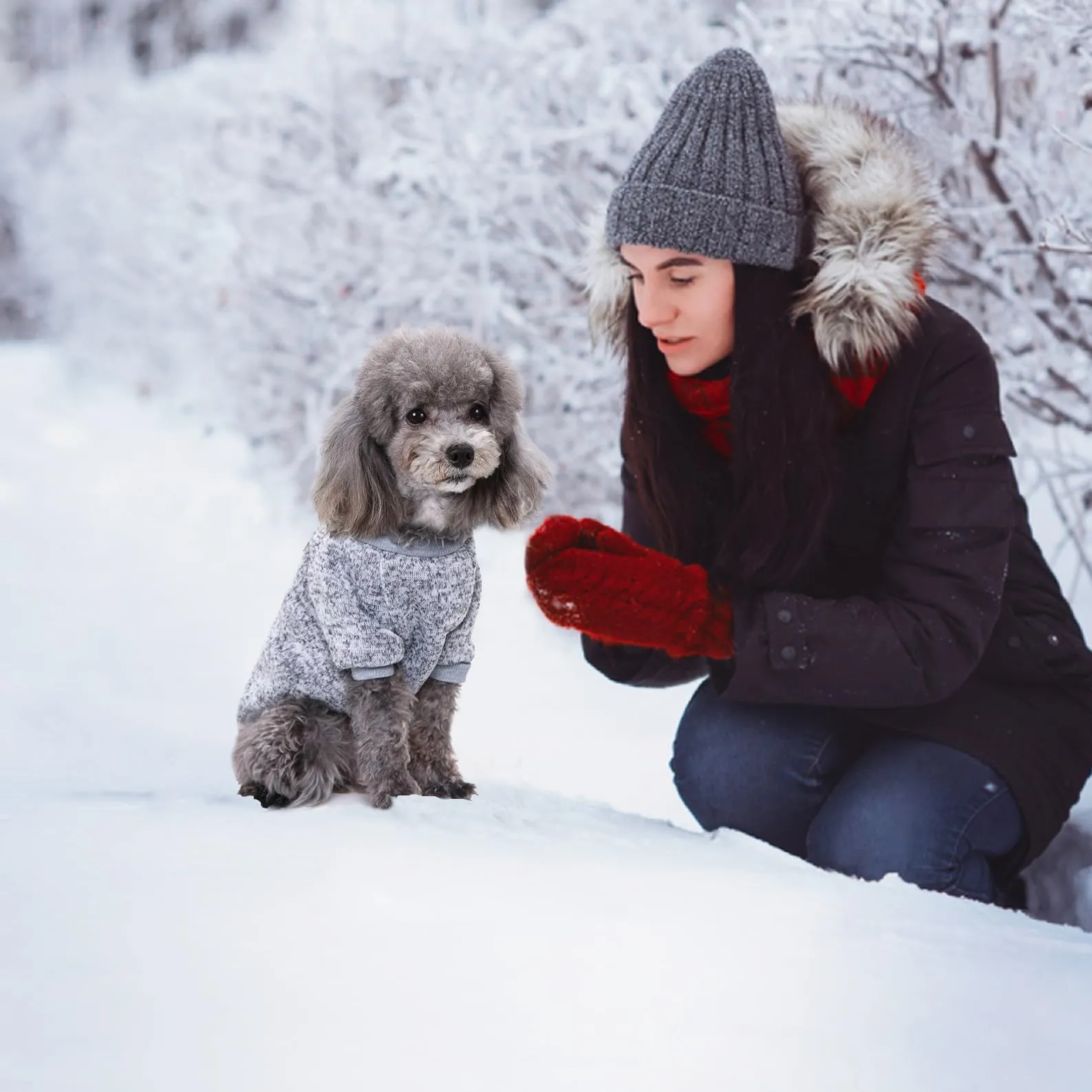 Idepet Maglione per animali domestici (Grigio BluNavy, L) - immagine 6
