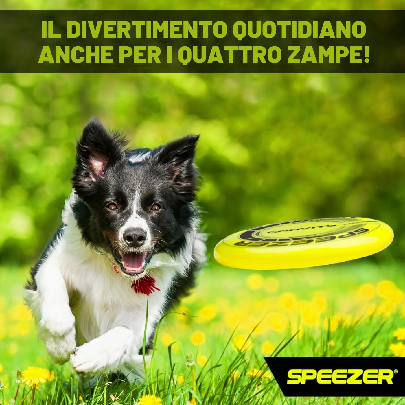 SPEEZER® Gravity Frisbee 175 g – Il disco da lancio professionale giallo neon è il gioco all'aperto divertente – disco frisbee per bambini adulti – Ultimate Flying Disc giocattolo da spiaggia - immagine 6