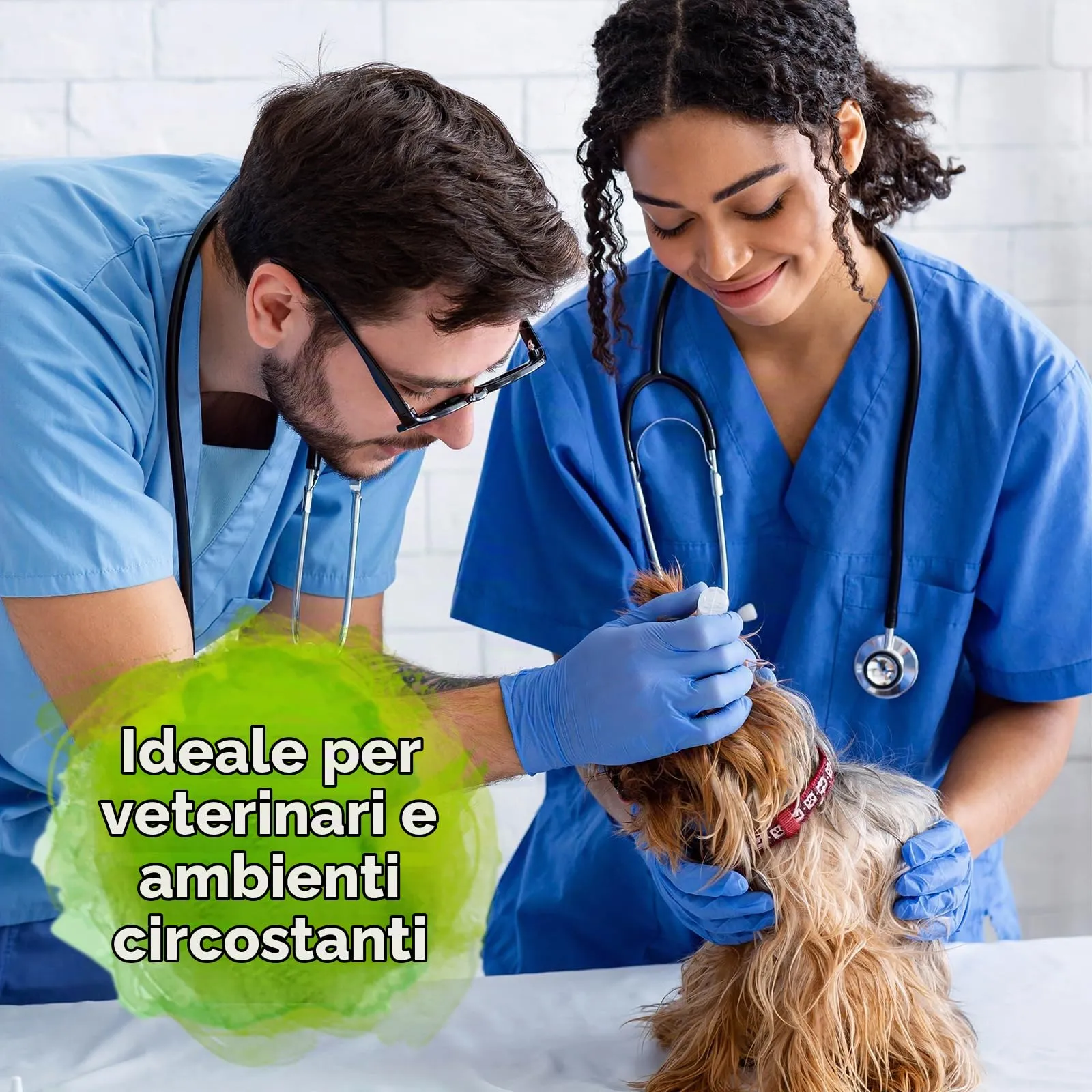 Bactador Anti-Odore E Smacchiatore Microbiologico 5 Litri - Concentrato - Detergente Enzimatico Biologico Contro Il Sudore, Gli Odori Degli Animali - Per La Casa, L'Auto E L'Ambiente Animale - immagine 2