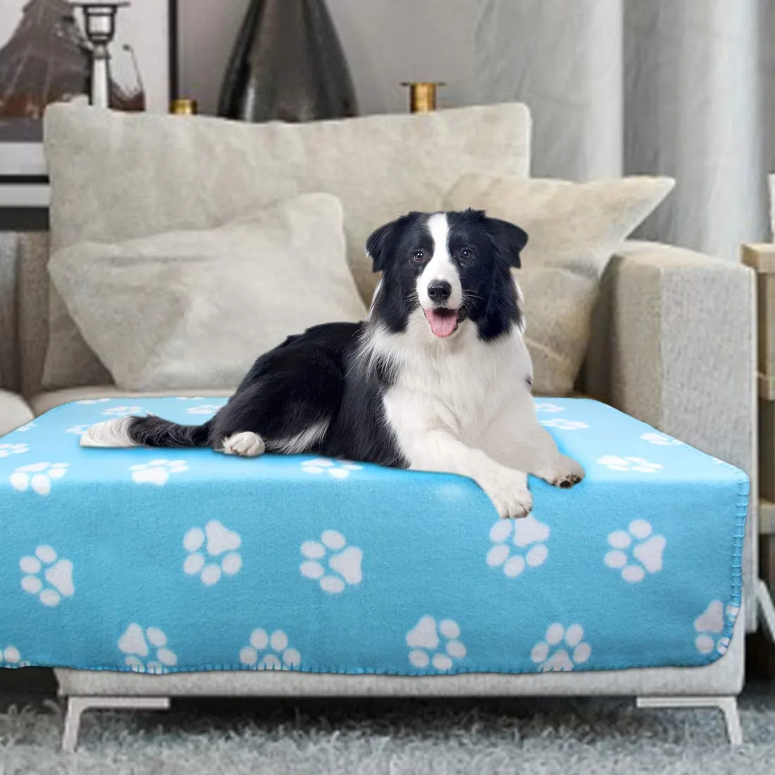 YIQI Coperta per Animali Domestici con Stampa a Zampa per Cane o Gatto, Finitura Morbida, Coperta Invernale per Uso Pesante, Zampa Stampata 3 Pezzi Colore Casuale(60 x 70 cm) - immagine 6