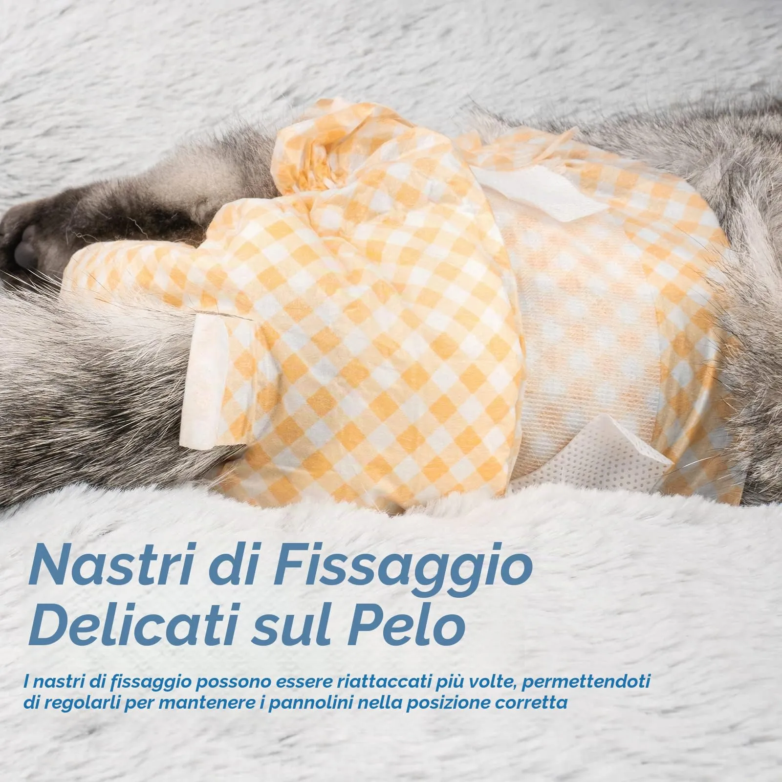 MICOOYO Pannolini usa e getta per gatti e gatti, super assorbenti per gatti di piccola taglia, cani femminili, pannolini usa e getta per gatti femminili in calore (arancione, S) - immagine 2
