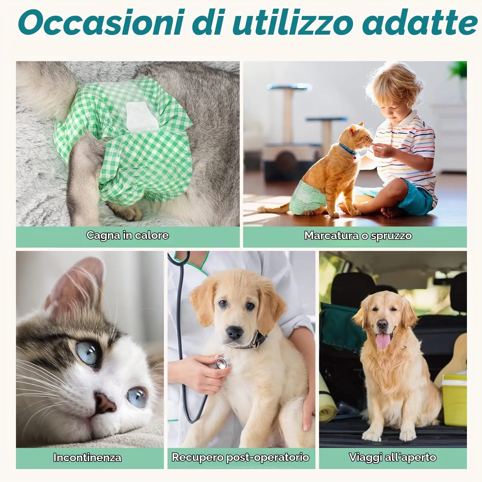 MICOOYO Pannolini usa e getta per cuccioli di gatto, super assorbenti, per cani femmina di piccola taglia, in vita regolabile, a prova di perdite, per gatti con calore, incontinenza, 24 pezzi (verde - immagine 6