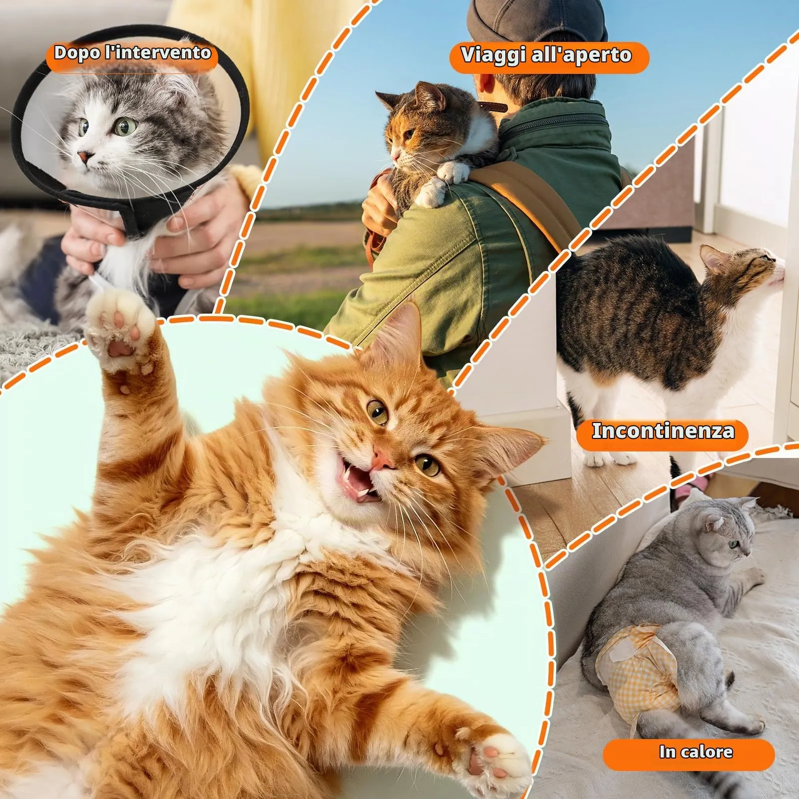MICOOYO Pannolini usa e getta per cani femmina, super assorbenti, per gatti e cani di piccola taglia, pannolini per gatti a prova di perdite per donne in calore (arancione, XS, 24 pezzi) - immagine 7