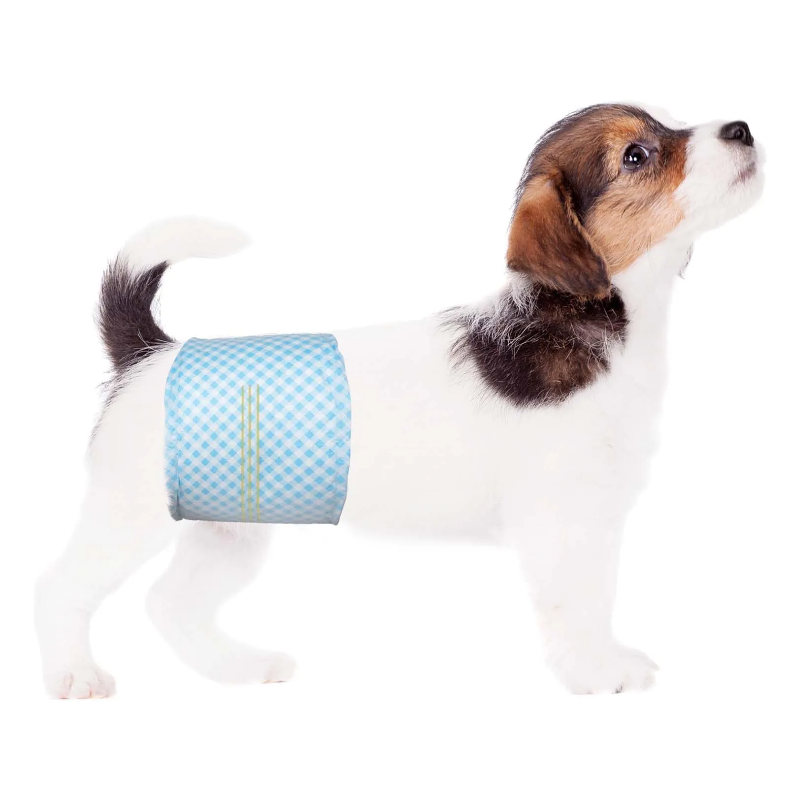 Flying Paws Bande per pancia usa e getta per cani maschi, con indicatore di umidità, super assorbenti, morbidi, pannolini per cani maschi (XS, 20) - immagine 1