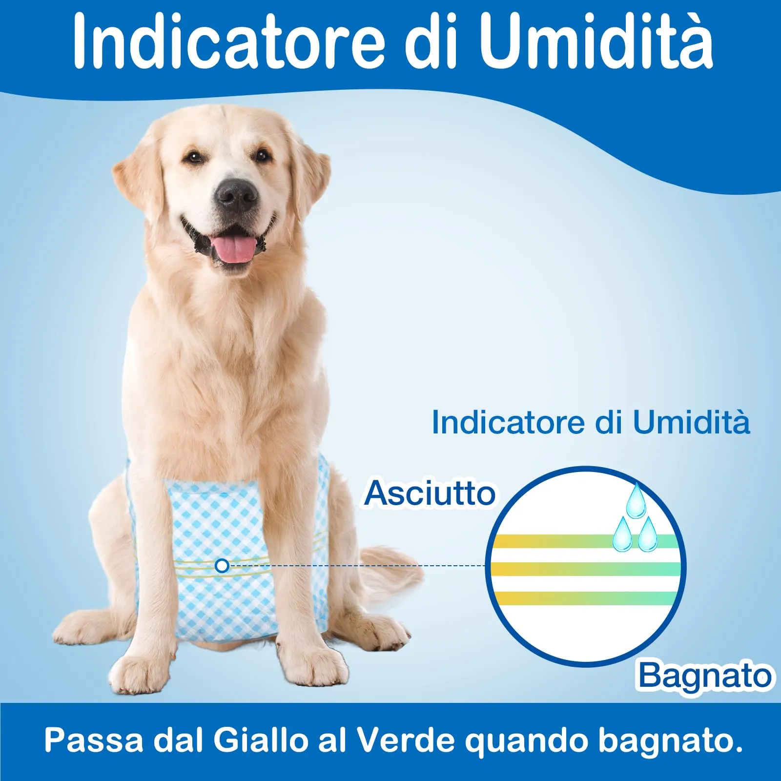 Flying Paws Bande per pancia usa e getta per cani maschi, con indicatore di umidità, super assorbenti, morbidi, pannolini per cani maschi (M, 20) - immagine 3