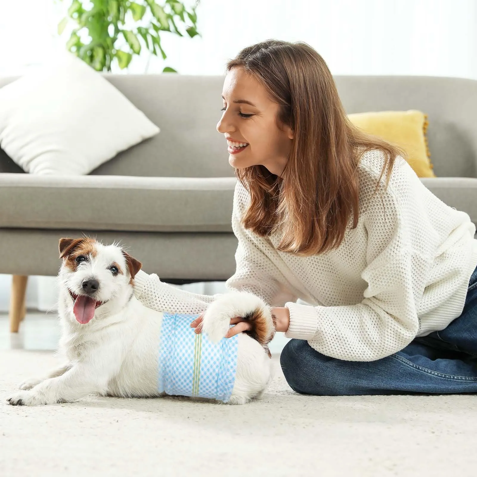 Flying Paws Bande per pancia usa e getta per cani maschi, con indicatore di umidità, super assorbenti, morbidi, pannolini per cani maschi (M, 20) - immagine 7