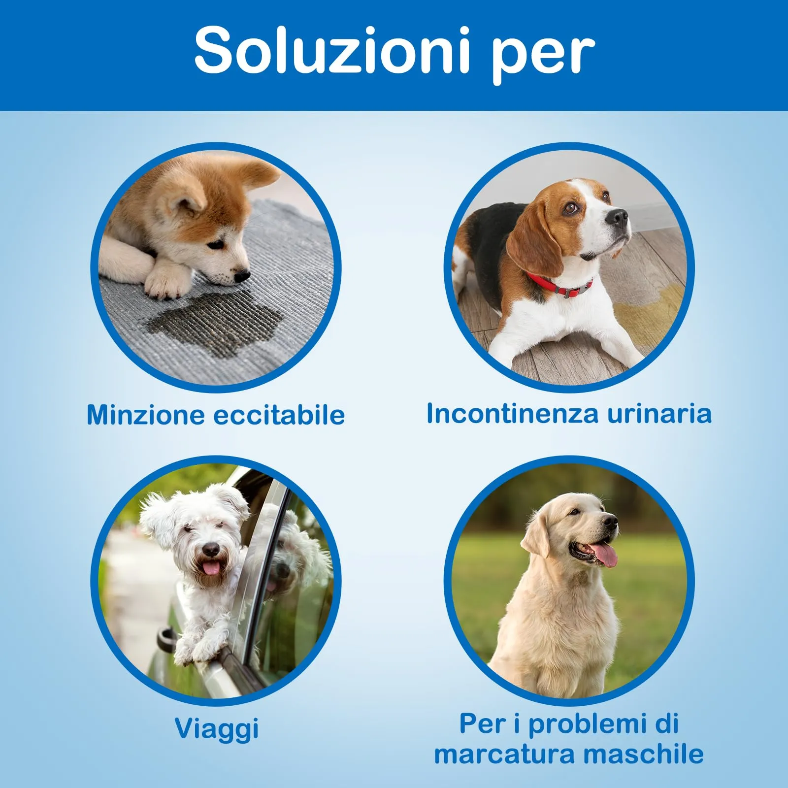 Flying Paws Bande per pancia usa e getta per cani maschi, con indicatore di umidità, super assorbenti, morbidi, pannolini per cani maschi (L, 40) - immagine 4