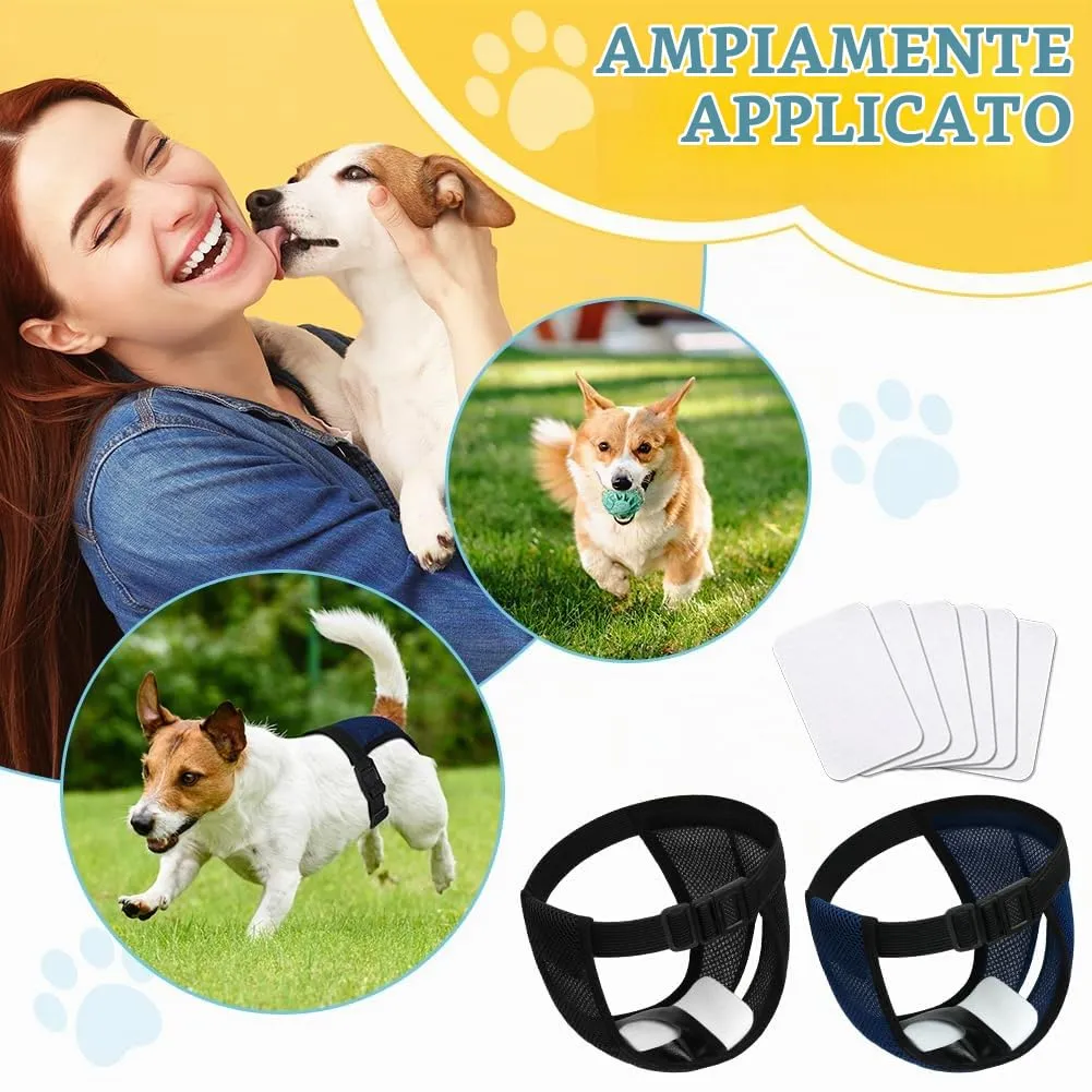 Aomig Pannolini per Cani Femmina, Pannolini Cane Riutilizzabili, Pantaloni Mestruali Igienici per Cani di Piccola Taglia con 6 Cuscinetti di Ricambio-M - immagine 6