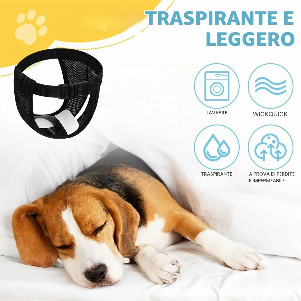 Aomig Lavabili Pannolini per Cani Femmina, Pannolini Cane Riutilizzabili, Pannolino Mutande Mestruali Cane, Pantaloni Mestruali Igienici per Cani di Piccola con 6 Cuscinetti di Ricambio(Nero-XL) - immagine 4