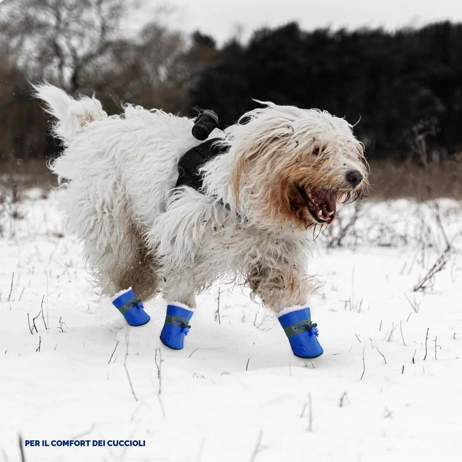 Scarpe impermeabili per cani – 4 pezzi Paw Protector, antiscivolo con cinghie riflettenti per piccole e - immagine 5