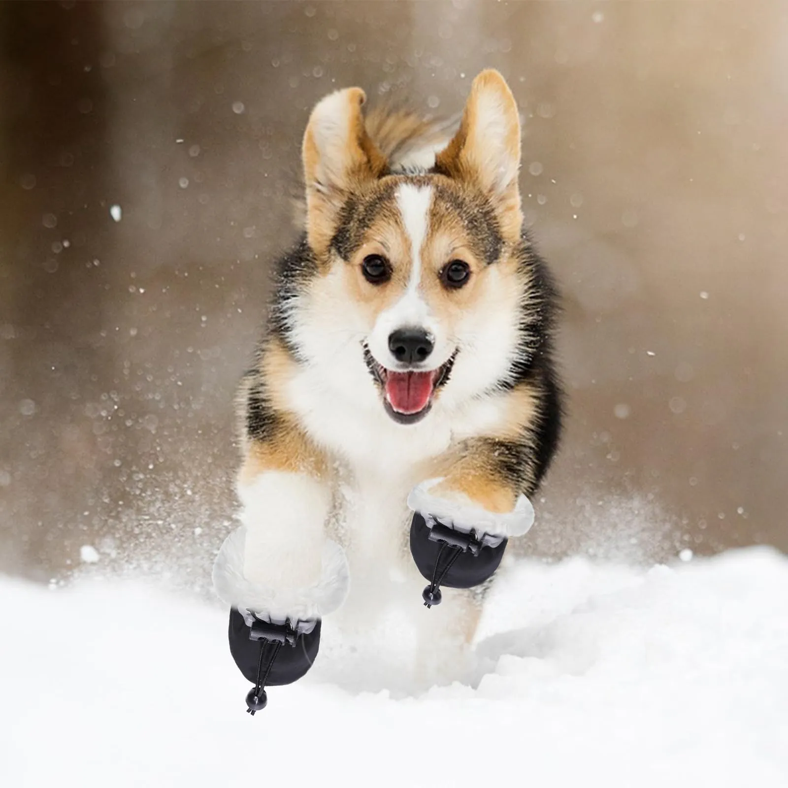 Paw Protector Scarpe impermeabili per cani piccoli e medi, 4 pezzi stivali antiscivolo con cinghie riflettenti cane - immagine 6