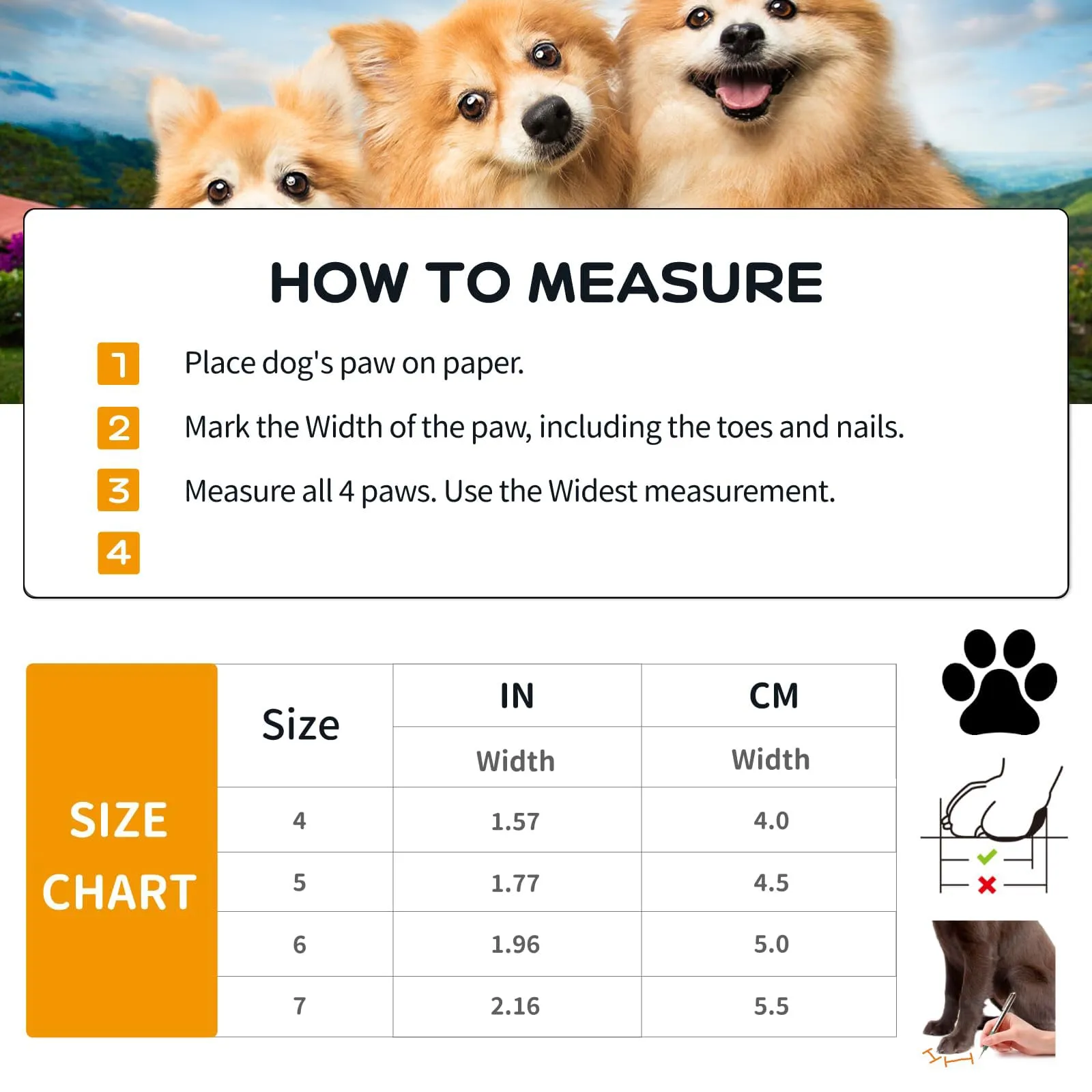 Paw Protector Scarpe impermeabili per cani piccoli e medi, 4 pezzi stivali antiscivolo con cinghie riflettenti cane - immagine 3