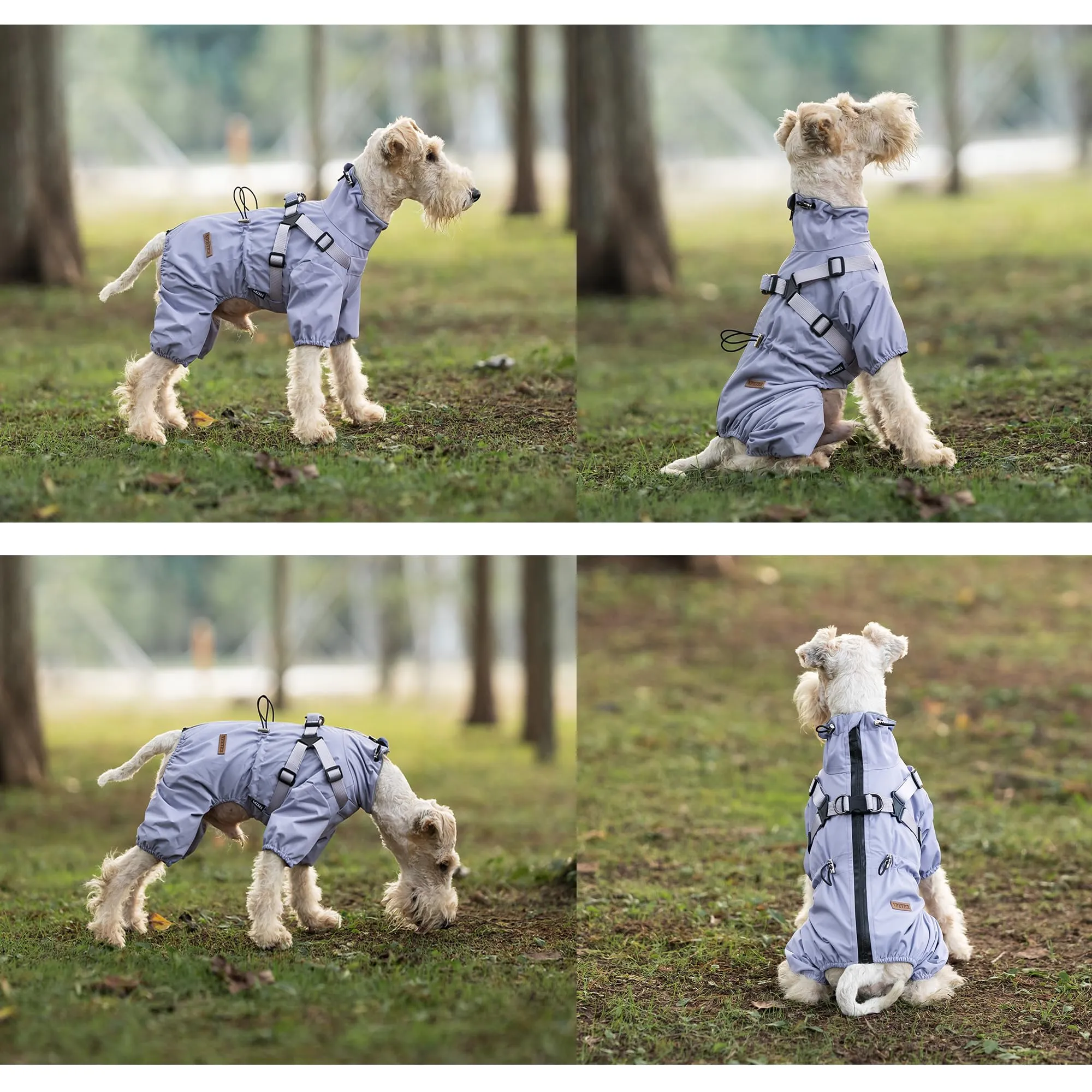 BT Bear - Giubbotto impermeabile per cani con pettorale, regolabile, con 4 aperture per le zampe, con pettorale, tuta riflettente, impermeabile per cani di taglia piccola, viola, taglia M - immagine 7