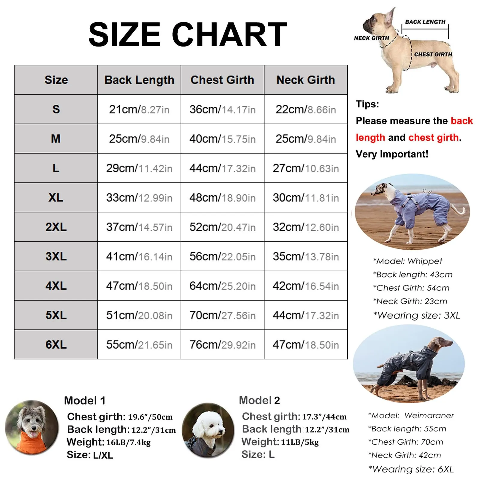 BT Bear Pettorina impermeabile per cani, regolabile a 4 gambe, giacca per cani con imbracatura riflettente tuta impermeabile per cani di piccola taglia, grigio, M - immagine 3