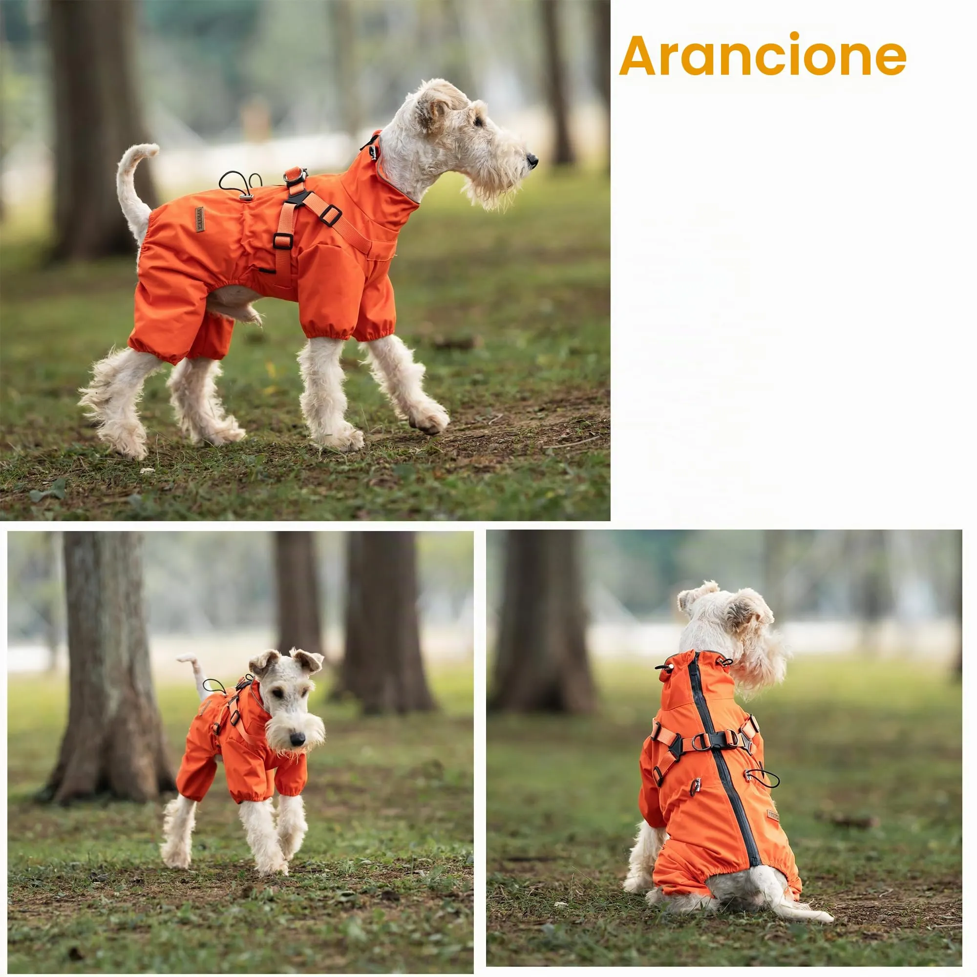 BT Bear Impermeabile con Pettorina per Cani, Giacca Regolabile a 4 Zampe per Cani con Pettorina Tuta Riflettente Impermeabile per Cuccioli Cani Piccoli, Arancione S - immagine 8