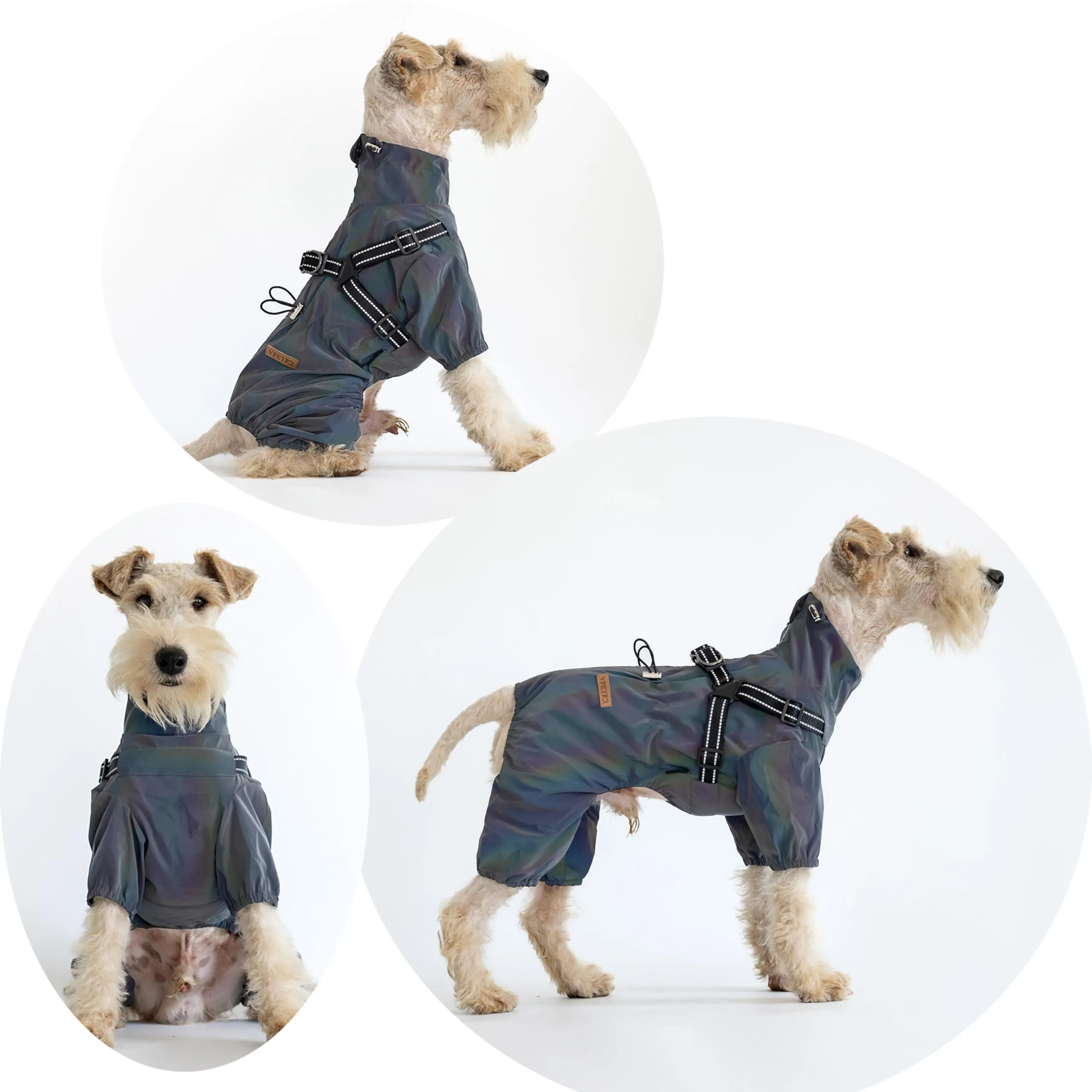 BT Bear Pettorina impermeabile per cani, regolabile a 4 gambe, giacca per cani con imbracatura riflettente tuta impermeabile per cani di piccola taglia, grigio laser, L - immagine 7