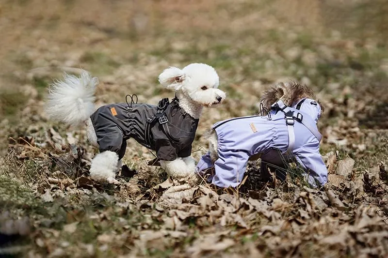 BT Bear - Cappotto impermeabile per cani con imbracatura, regolabile, a 4 gambe, con giacca riflettente per cani, tuta impermeabile per cani di taglia media e grande, grigio 3XL - immagine 7