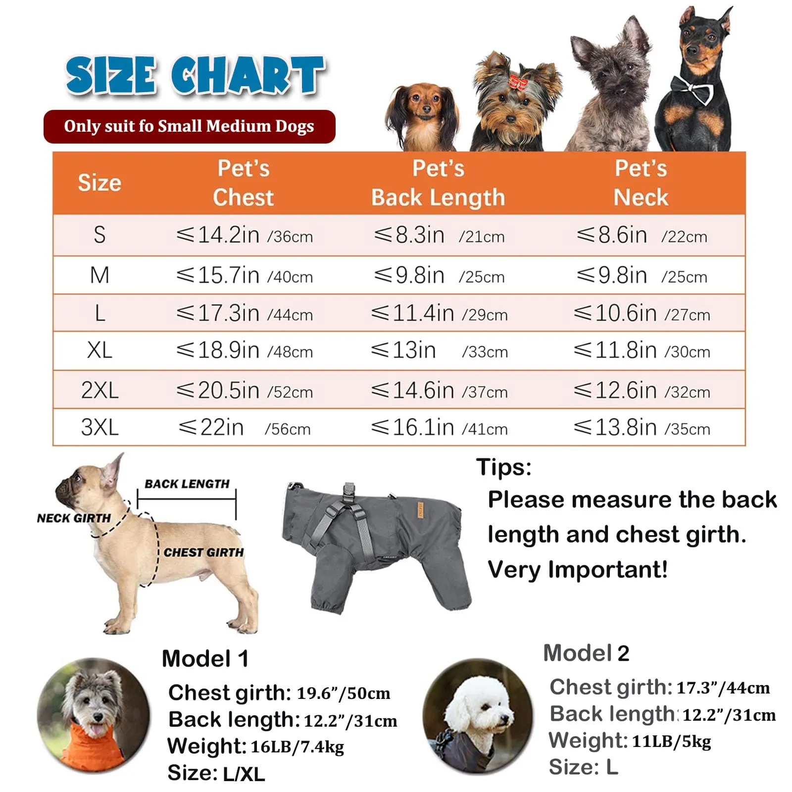 BT Bear Pettorina impermeabile per cani di piccola taglia, regolabile a 4 gambe, con imbracatura riflettente, impermeabile, per cuccioli di piccola taglia, rosso, M - immagine 3